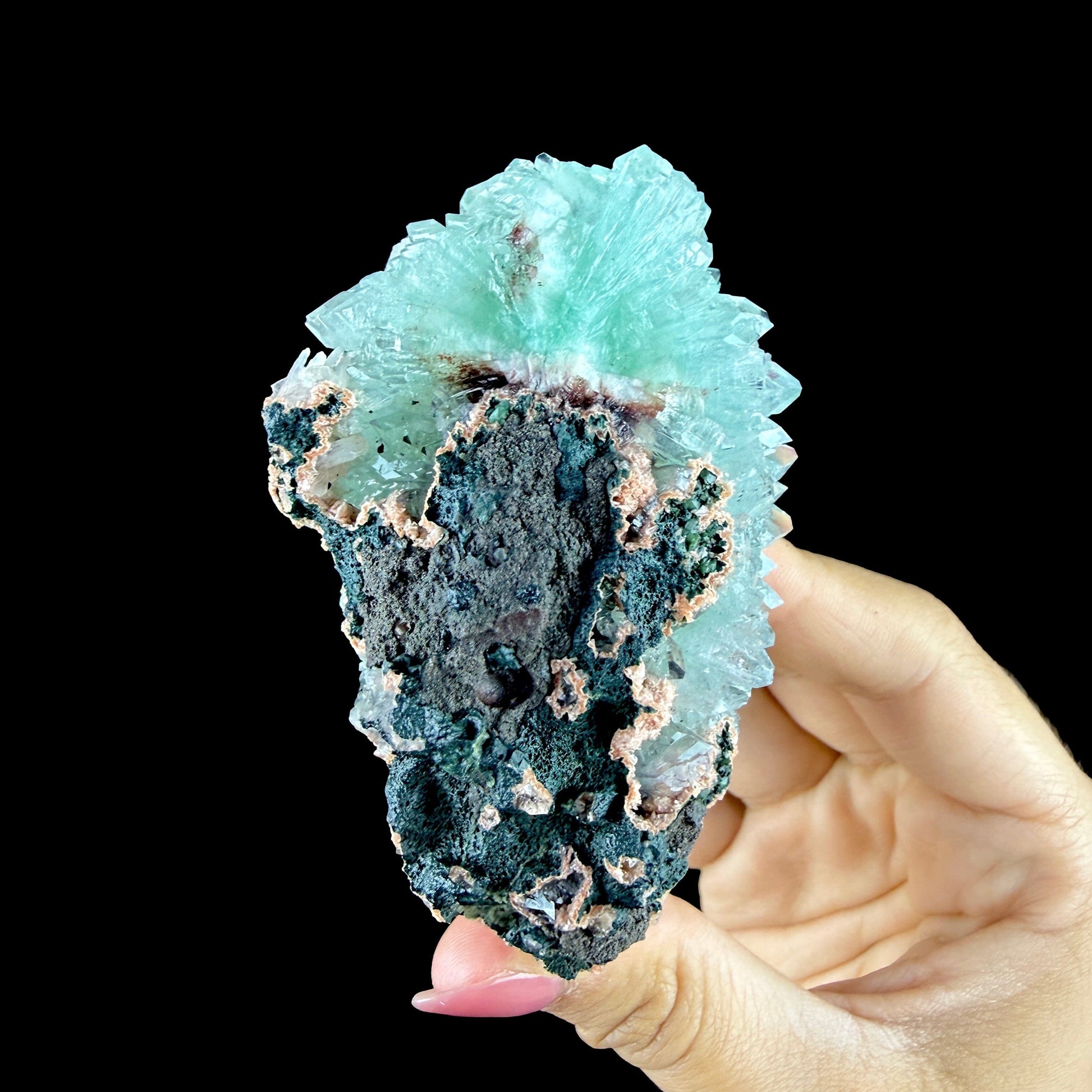 Lustrous Mint Green Apophyllite Rosette Spray on Heulandite Matrix - Rare Collector’s Indian Specimen from Madhya Pradesh #DKT158 apophyllite Superb Minerals 