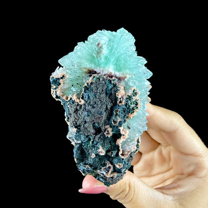 Lustrous Mint Green Apophyllite Rosette Spray on Heulandite Matrix - Rare Collector’s Indian Specimen from Madhya Pradesh #DKT158 apophyllite Superb Minerals 