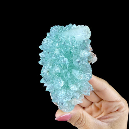 Lustrous Mint Green Apophyllite Rosette Spray on Heulandite Matrix - Rare Collector’s Indian Specimen from Madhya Pradesh #DKT158 apophyllite Superb Minerals 