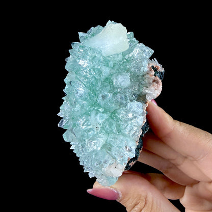 Lustrous Mint Green Apophyllite Rosette Spray on Heulandite Matrix - Rare Collector’s Indian Specimen from Madhya Pradesh #DKT158 apophyllite Superb Minerals 
