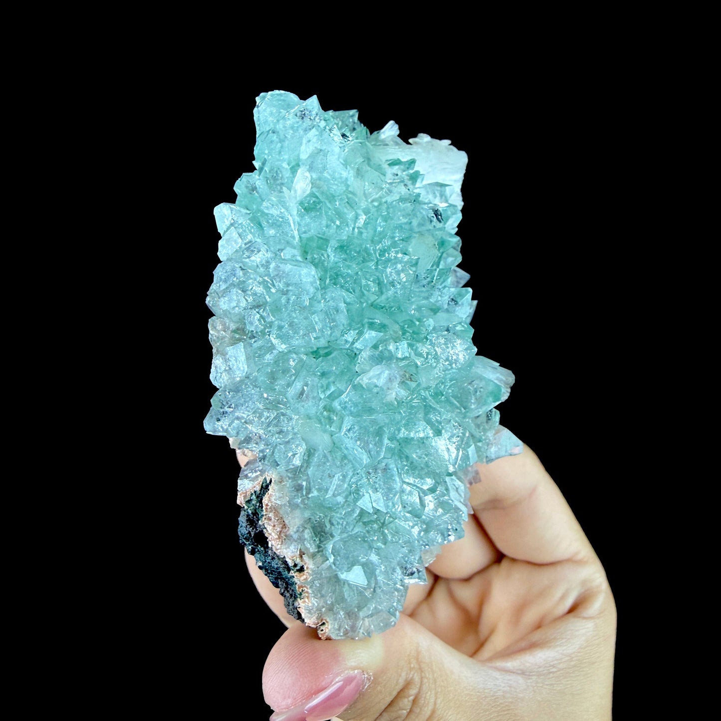 Lustrous Mint Green Apophyllite Rosette Spray on Heulandite Matrix - Rare Collector’s Indian Specimen from Madhya Pradesh #DKT158 apophyllite Superb Minerals 