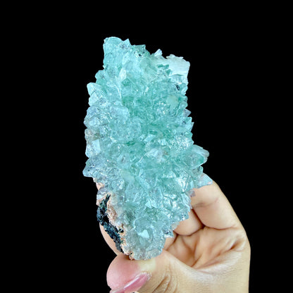 Lustrous Mint Green Apophyllite Rosette Spray on Heulandite Matrix - Rare Collector’s Indian Specimen from Madhya Pradesh #DKT158 apophyllite Superb Minerals 