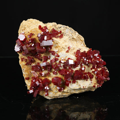 Lustrous Red Vanadinite - Natural Raw Mineral Specimen from Mibladen, Morocco # B 7201 Vanadinite Superb Minerals 