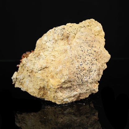 Lustrous Red Vanadinite - Natural Raw Mineral Specimen from Mibladen, Morocco # B 7201 Vanadinite Superb Minerals 