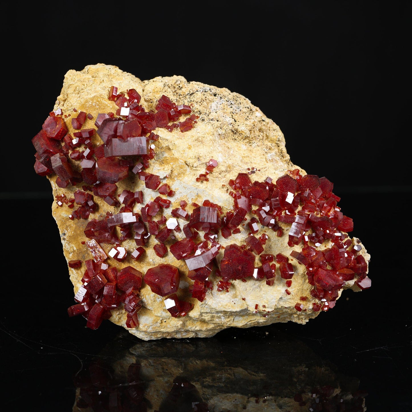 Lustrous Red Vanadinite - Natural Raw Mineral Specimen from Mibladen, Morocco # B 7201 Vanadinite Superb Minerals 