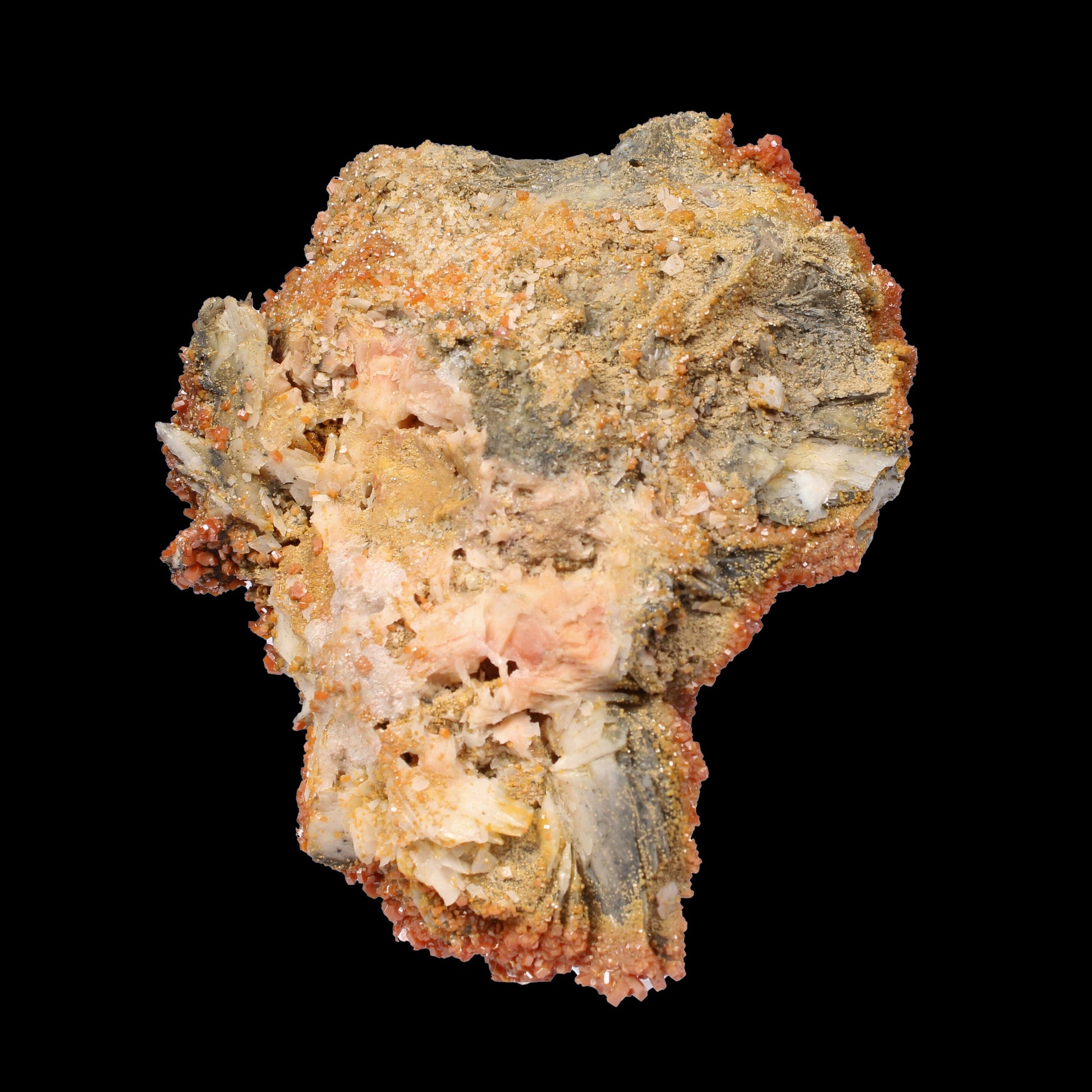 Lustrous Red Vanadinite on Black Blade Barite - Natural Raw Mineral Specimen from Mibladen, Morocco# B 7147 Vanadinite Superb Minerals 