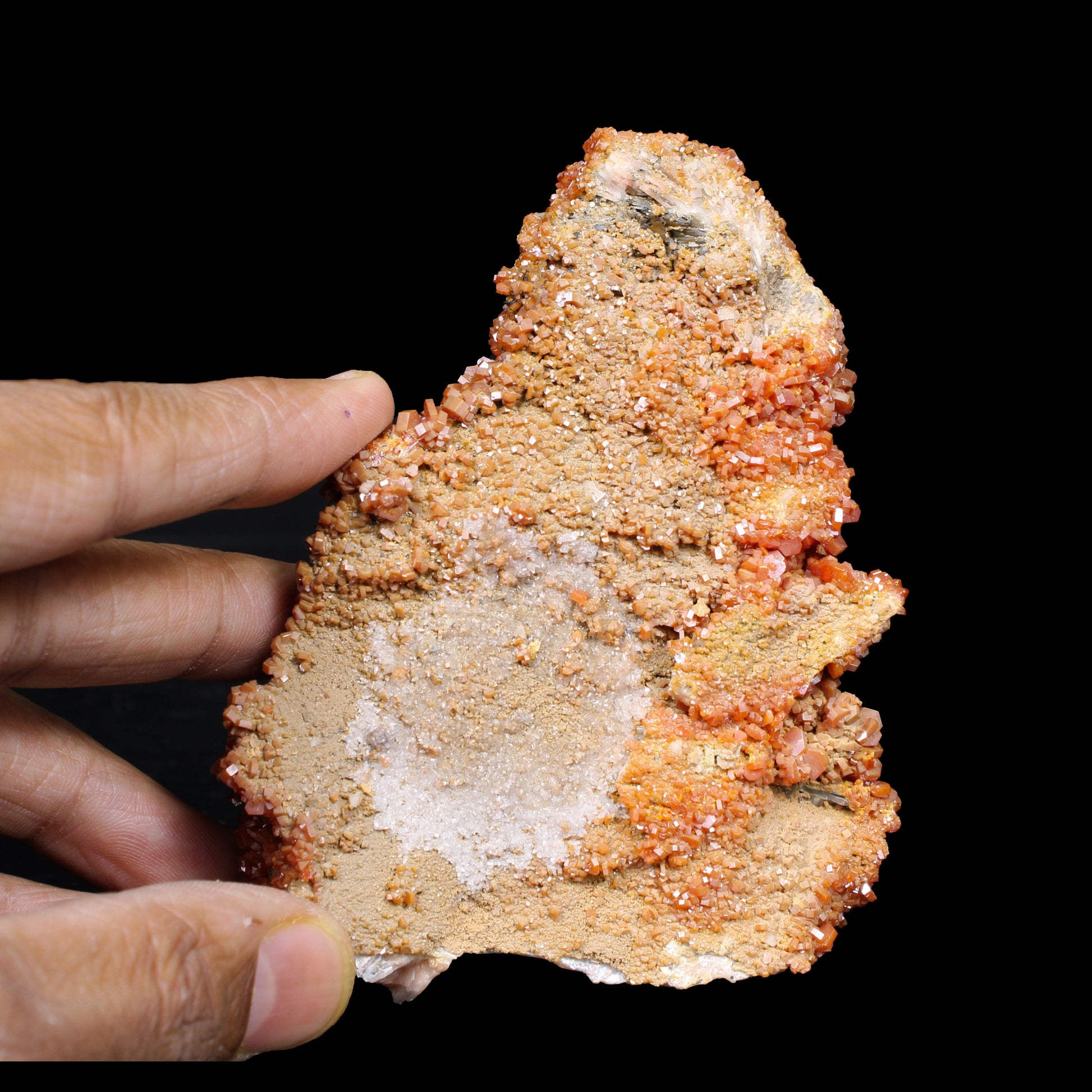 Lustrous Red Vanadinite on Black Blade Barite - Natural Raw Mineral Specimen from Mibladen, Morocco # B 7151 Vanadinite Superb Minerals 