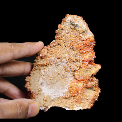 Lustrous Red Vanadinite on Black Blade Barite - Natural Raw Mineral Specimen from Mibladen, Morocco # B 7151 Vanadinite Superb Minerals 