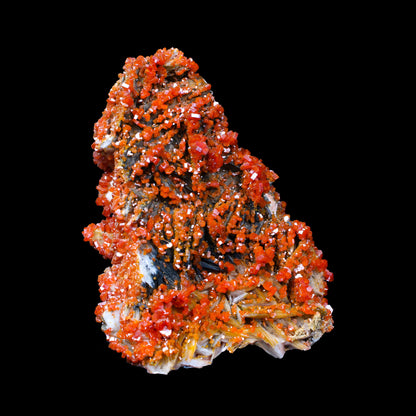 Lustrous Red Vanadinite on Black Blade Barite - Natural Raw Mineral Specimen from Mibladen, Morocco # B 7151 Vanadinite Superb Minerals 