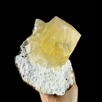 Lustrous Yellow Calcite Rhomb Perched on White Mordenite Matrix - Collector’s Cabinet Specimen from Chhatrapati Sambhaji Nagar, India # DKT190 Calcite Superb Minerals 
