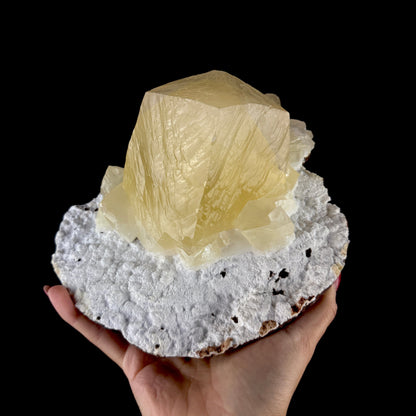 Lustrous Yellow Calcite Rhomb Perched on White Mordenite Matrix - Collector’s Cabinet Specimen from Chhatrapati Sambhaji Nagar, India # DKT190 Calcite Superb Minerals 