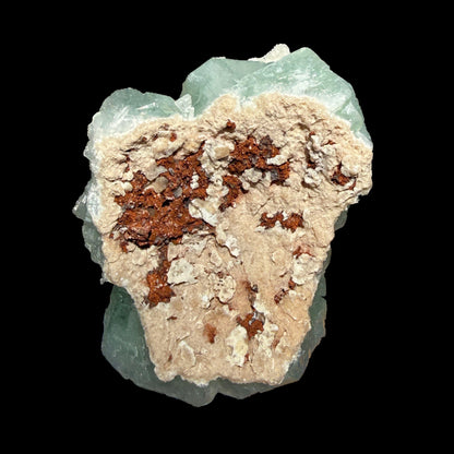 Mesolite on Green Apophyllite – Indian Zeolite Mineral Specimen from Pune # B DKT134 Mesolite Superb Minerals 