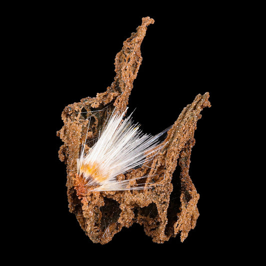 Mesolite spray with Sparkling Brown Chalcedony Natural Mineral Specimen # B 6810 Mesolite Superb Minerals 