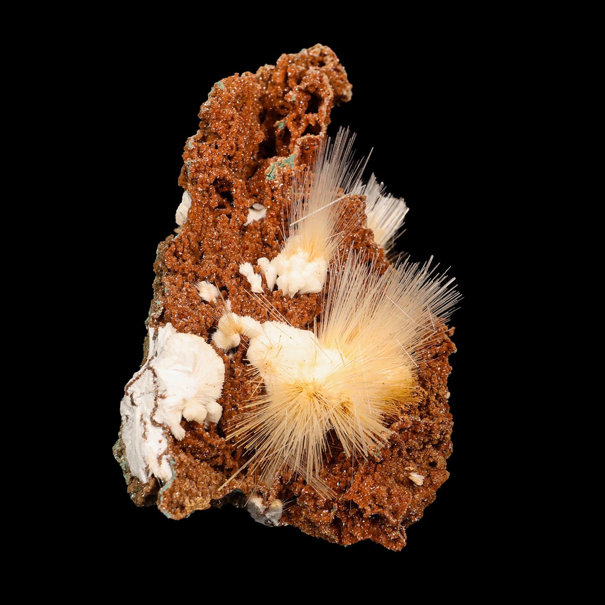 Mesolite spray with Sparkling Brown Chalcedony Natural Mineral Specimen # B 6836 Mesolite Superb Minerals 