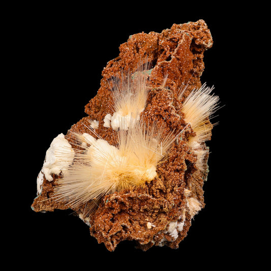 Mesolite spray with Sparkling Brown Chalcedony Natural Mineral Specimen # B 6836 Mesolite Superb Minerals 