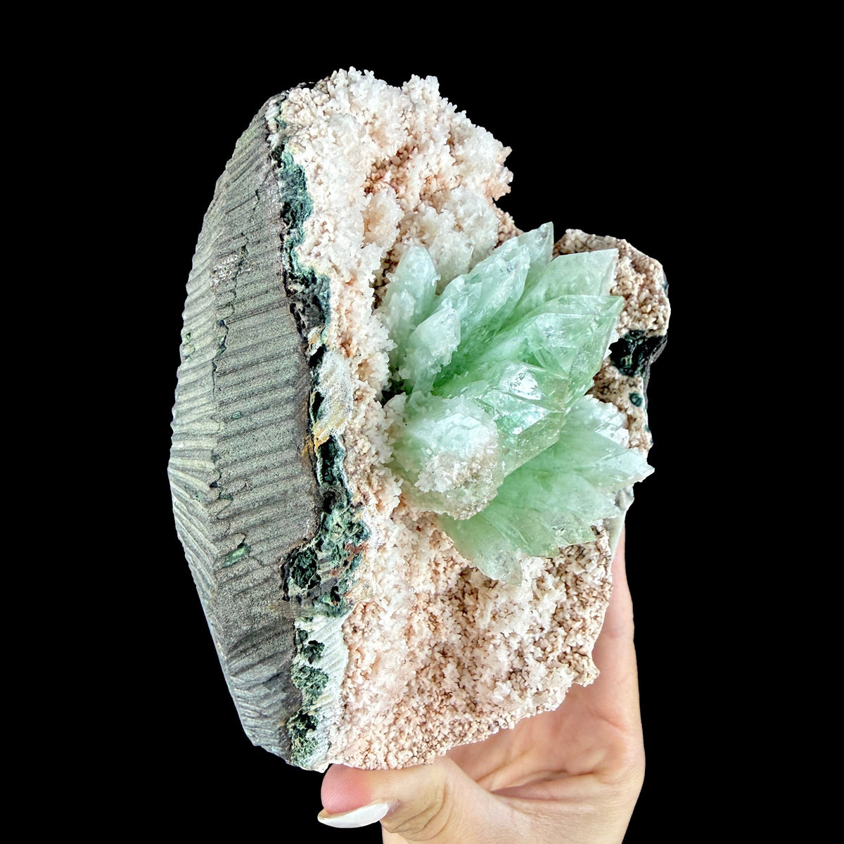 Mint Green Apophyllite Flower Cluster in Pink Chalcedony Geode Pocket - Collector’s Cabinet Specimen from Jalgaon, India # DKT178 Apophyllite Superb Minerals 