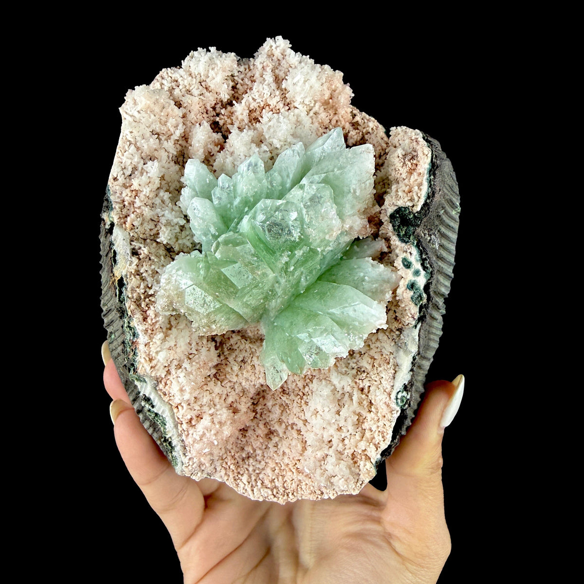 Mint Green Apophyllite Flower Cluster in Pink Chalcedony Geode Pocket - Collector’s Cabinet Specimen from Jalgaon, India # DKT178 Apophyllite Superb Minerals 