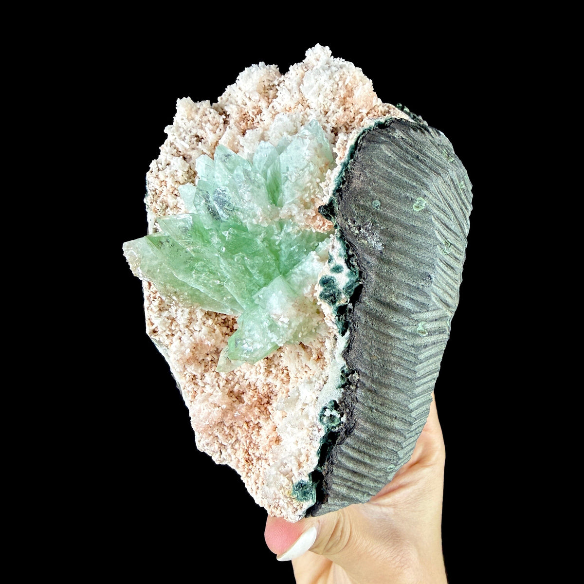 Mint Green Apophyllite Flower Cluster in Pink Chalcedony Geode Pocket - Collector’s Cabinet Specimen from Jalgaon, India # DKT178 Apophyllite Superb Minerals 