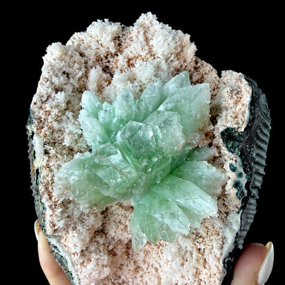 Mint Green Apophyllite Flower Cluster in Pink Chalcedony Geode Pocket - Collector’s Cabinet Specimen from Jalgaon, India # DKT178 Apophyllite Superb Minerals 
