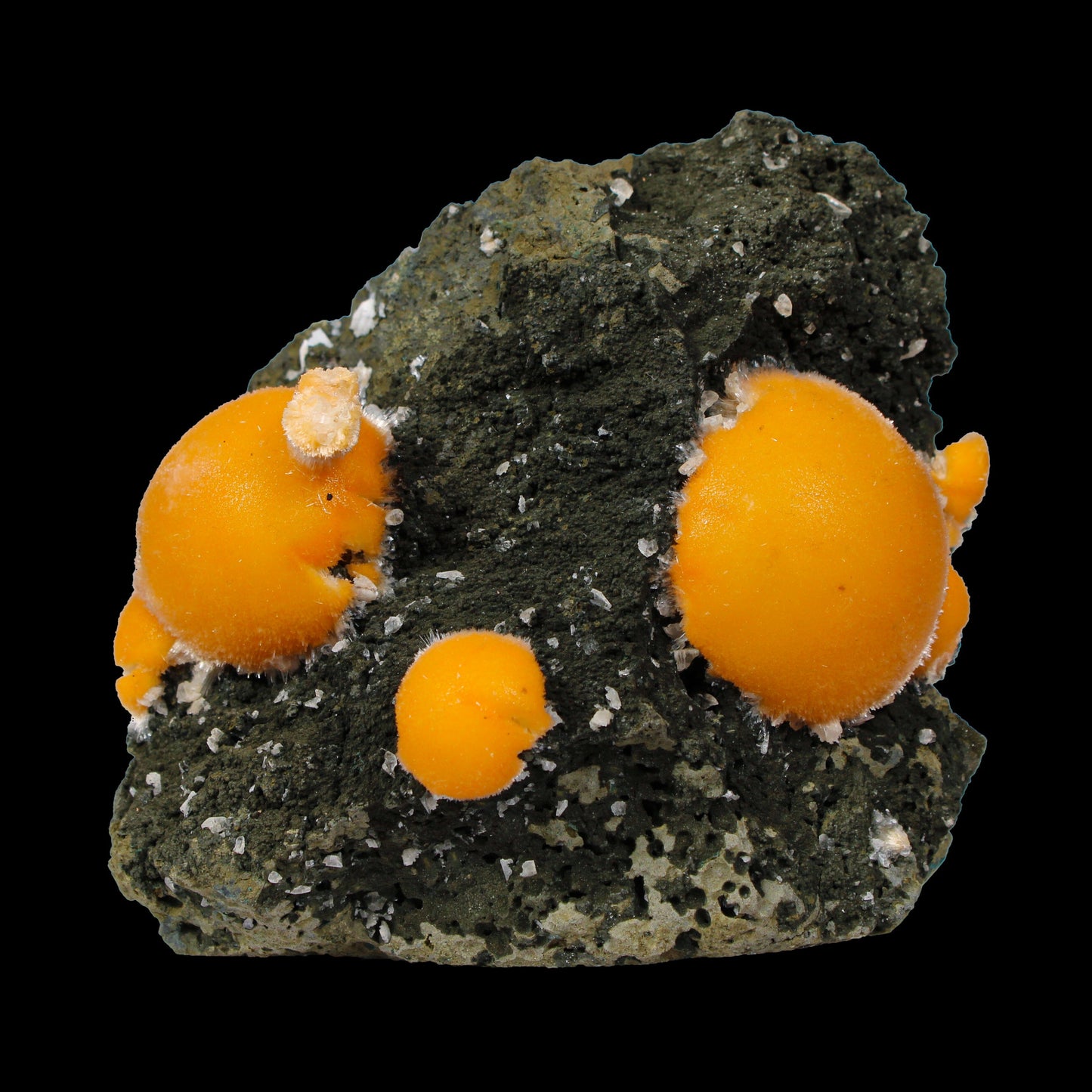 Multiple Orange Thomsonite on Matrix – Natural Indian Zeolite Crystal Specimen from Madhya Pradesh,India # B 7149 Thomsonite Superb Minerals 