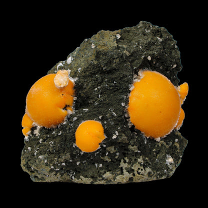 Multiple Orange Thomsonite on Matrix – Natural Indian Zeolite Crystal Specimen from Madhya Pradesh,India # B 7149 Thomsonite Superb Minerals 