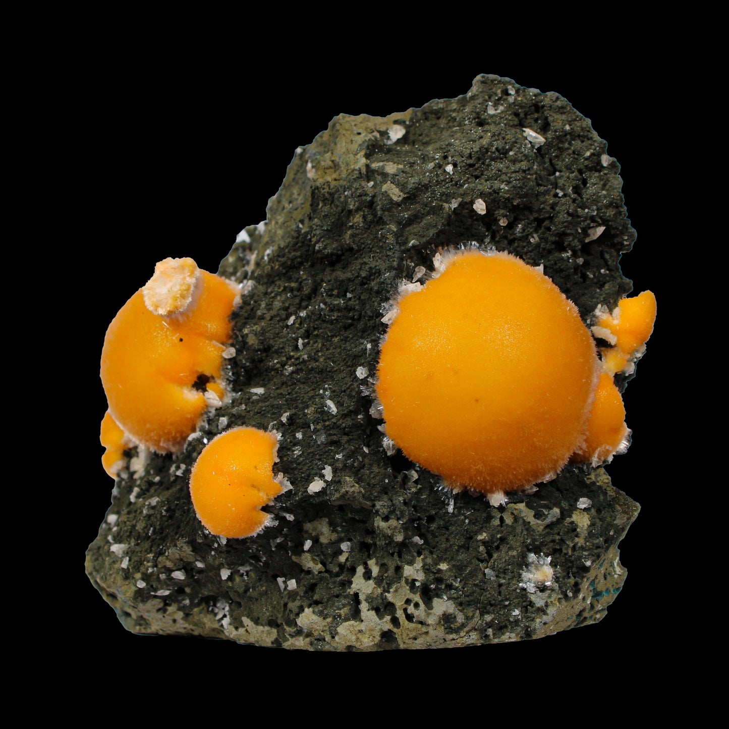 Multiple Orange Thomsonite on Matrix – Natural Indian Zeolite Crystal Specimen from Madhya Pradesh,India # B 7149 Thomsonite Superb Minerals 