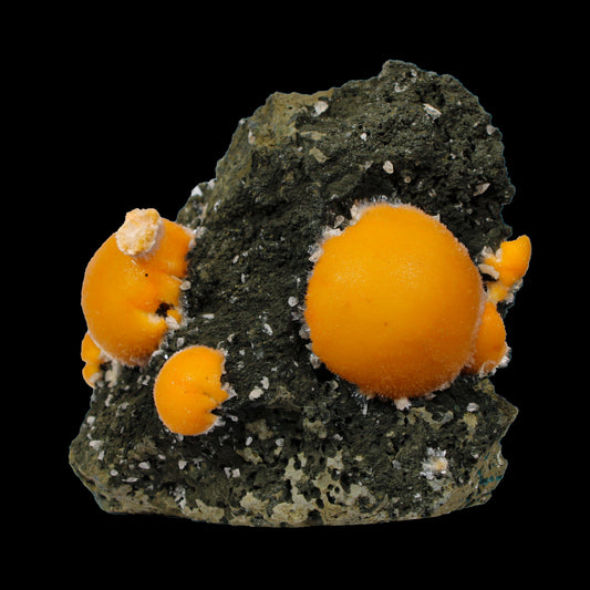 Multiple Orange Thomsonite on Matrix – Natural Indian Zeolite Crystal Specimen from Madhya Pradesh,India # B 7149 Thomsonite Superb Minerals 