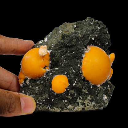 Multiple Orange Thomsonite on Matrix – Natural Indian Zeolite Crystal Specimen from Madhya Pradesh,India # B 7149 Thomsonite Superb Minerals 
