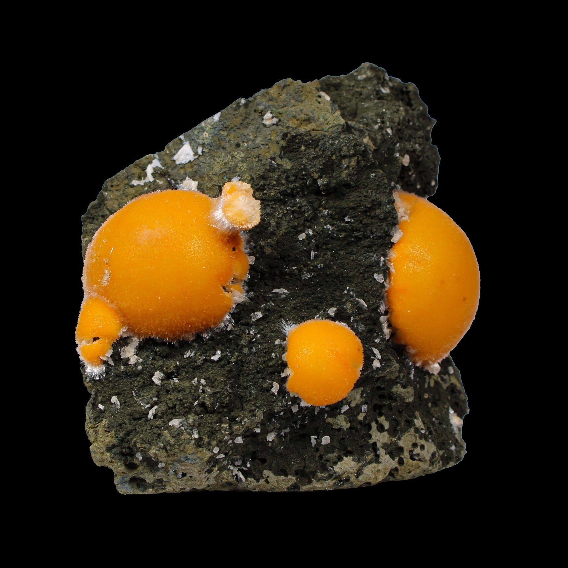 Multiple Orange Thomsonite on Matrix – Natural Indian Zeolite Crystal Specimen from Madhya Pradesh,India # B 7149 Thomsonite Superb Minerals 