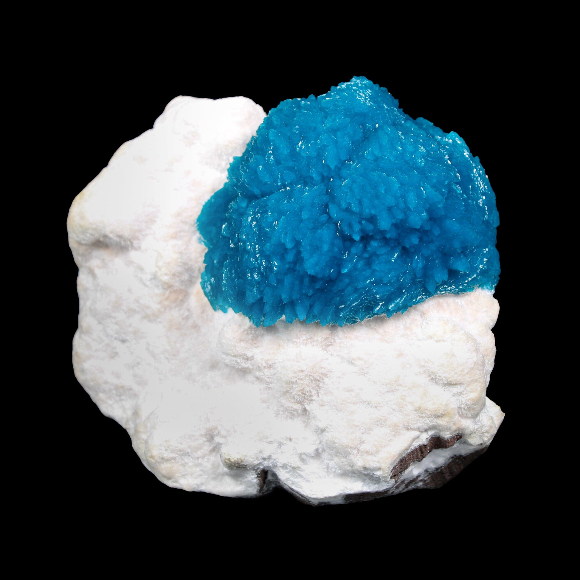 Museum Grade - Cavansite on Mordenite – Exceptional Natural Formation from Wagholi , Pune # B 7157 Cavansite Superb Minerals 