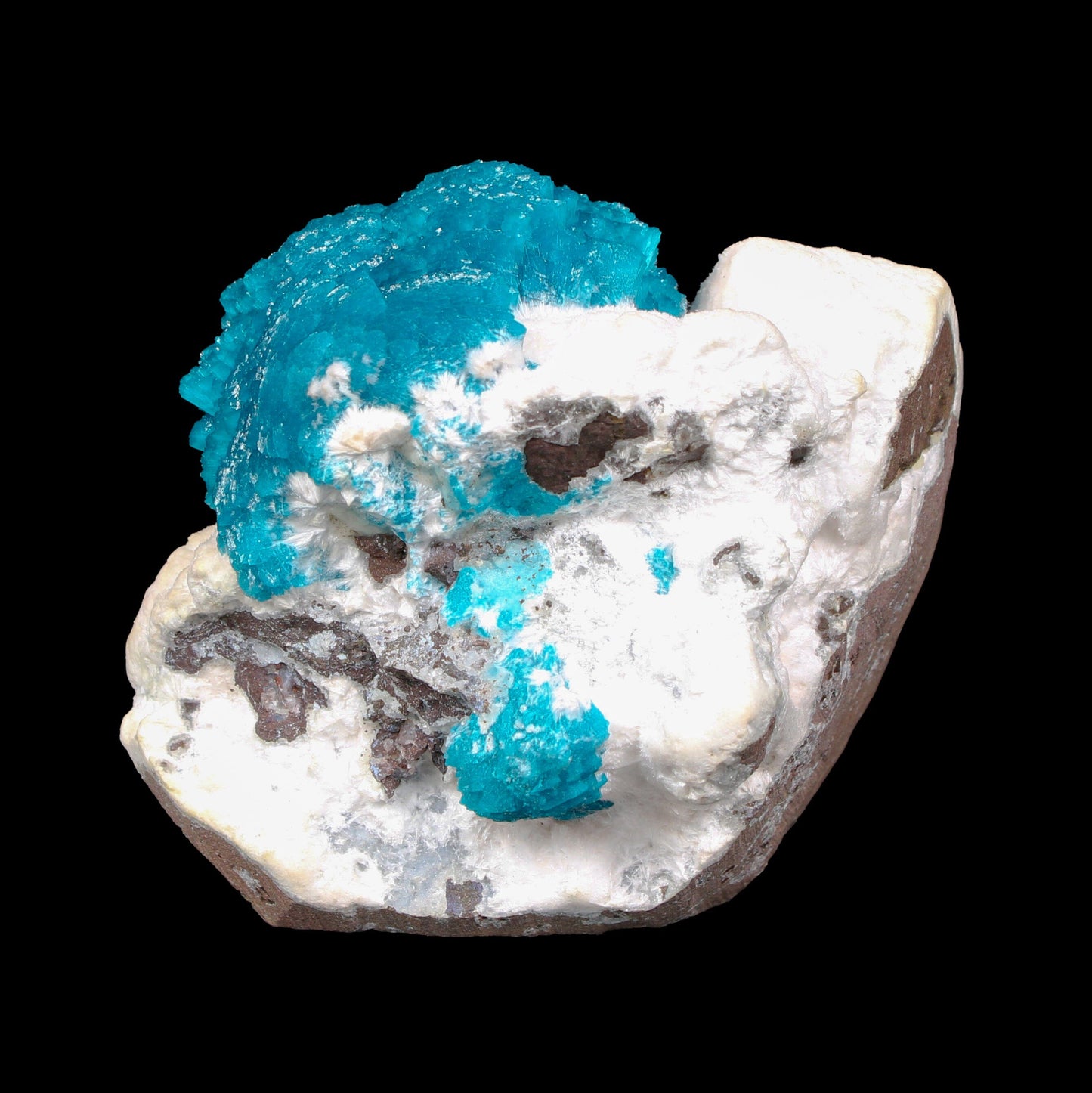 Museum Grade - Cavansite on Mordenite – Exceptional Natural Formation from Wagholi , Pune # B 7157 Cavansite Superb Minerals 