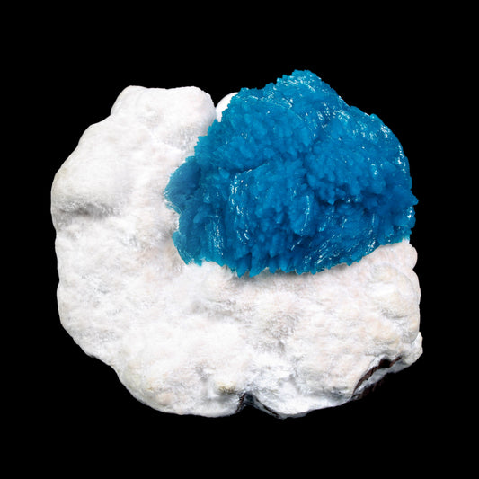 Museum Grade - Cavansite on Mordenite – Exceptional Natural Formation from Wagholi , Pune # B 7157 Cavansite Superb Minerals 