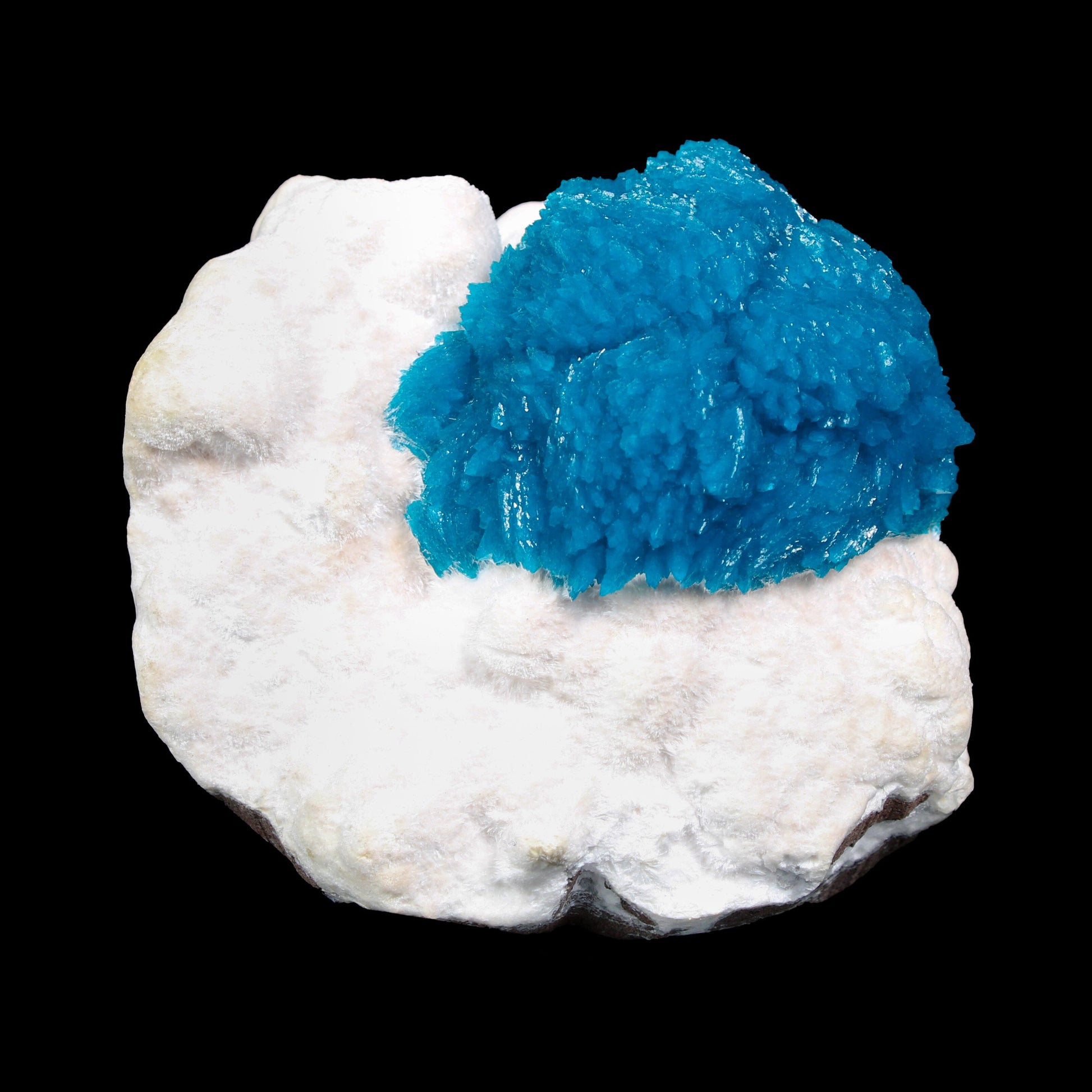 Museum Grade - Cavansite on Mordenite – Exceptional Natural Formation from Wagholi , Pune # B 7157 Cavansite Superb Minerals 