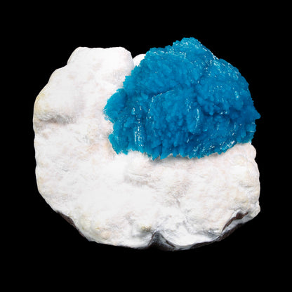 Museum Grade - Cavansite on Mordenite – Exceptional Natural Formation from Wagholi , Pune # B 7157 Cavansite Superb Minerals 
