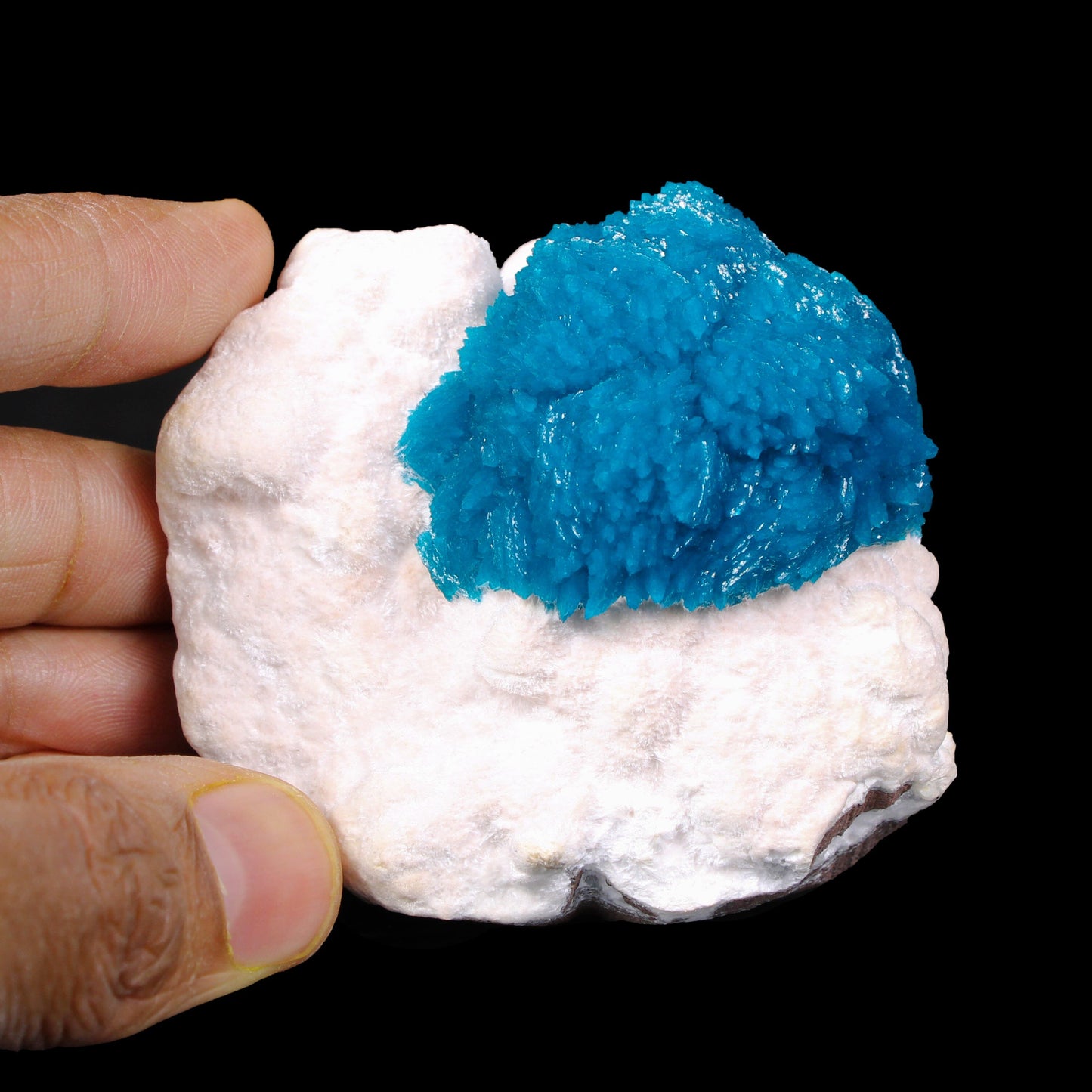 Museum Grade - Cavansite on Mordenite – Exceptional Natural Formation from Wagholi , Pune # B 7157 Cavansite Superb Minerals 