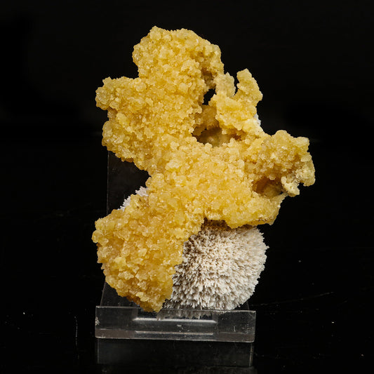 New Find Calcite Layer on Scolecite Natural Mineral Specimen # B 6772 Calcite Superb Minerals 