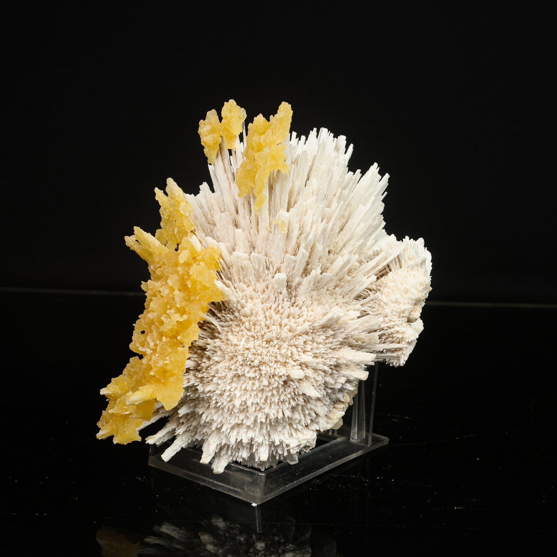 New Find Calcite Layer on Scolecite Natural Mineral Specimen # B 6787 Scolecite Superb Minerals 