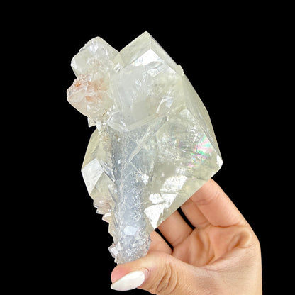 Optical Clear Calcite Rhomb with Prismatic Apophyllite on Bluish Chalcedony Stalactite - Collector’s Cabinet Specimen from Jalgaon, India # DKT177 Calcite Superb Minerals 