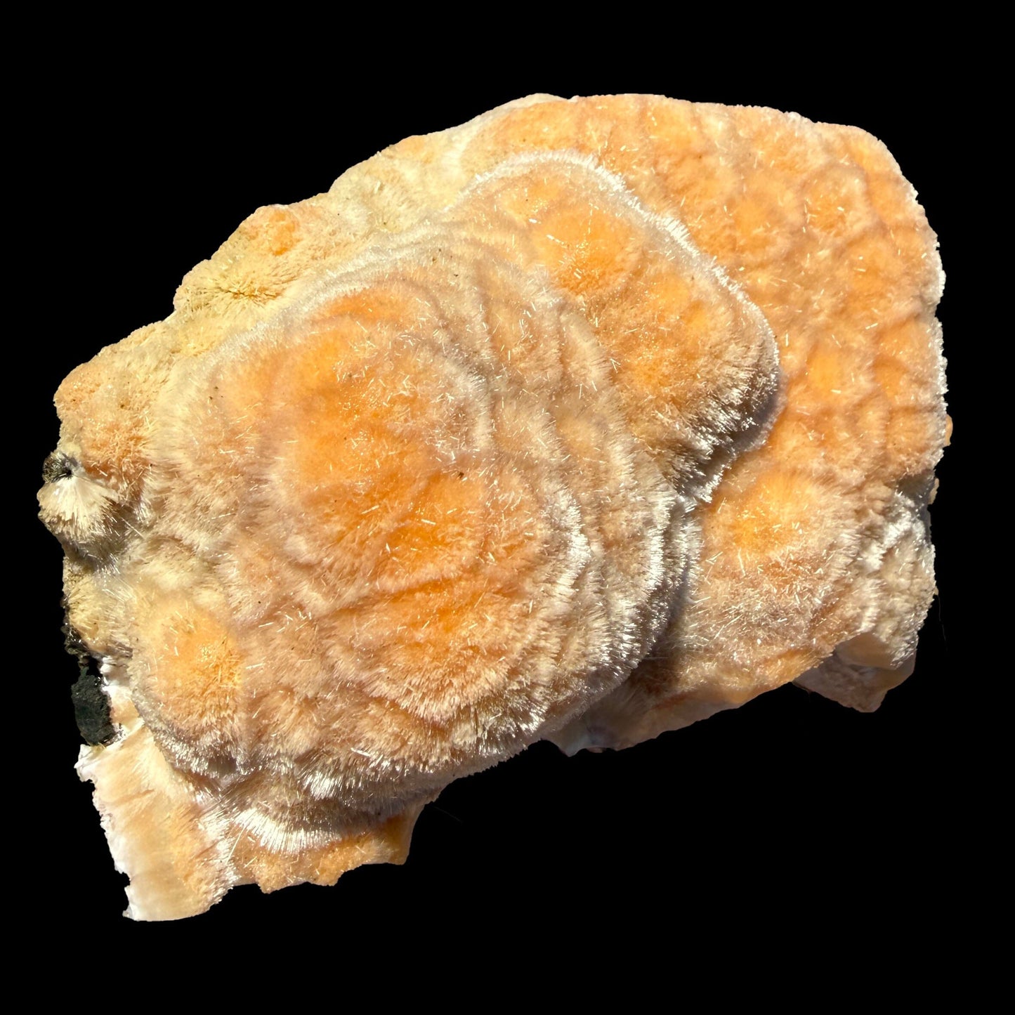 Orange Botryoidal Thomsonite with Needle Mesolite & Calcite – Indian Zeolite Mineral Specimen from Madhya Pradesh # DKT112 Thomsonite Superb Minerals 