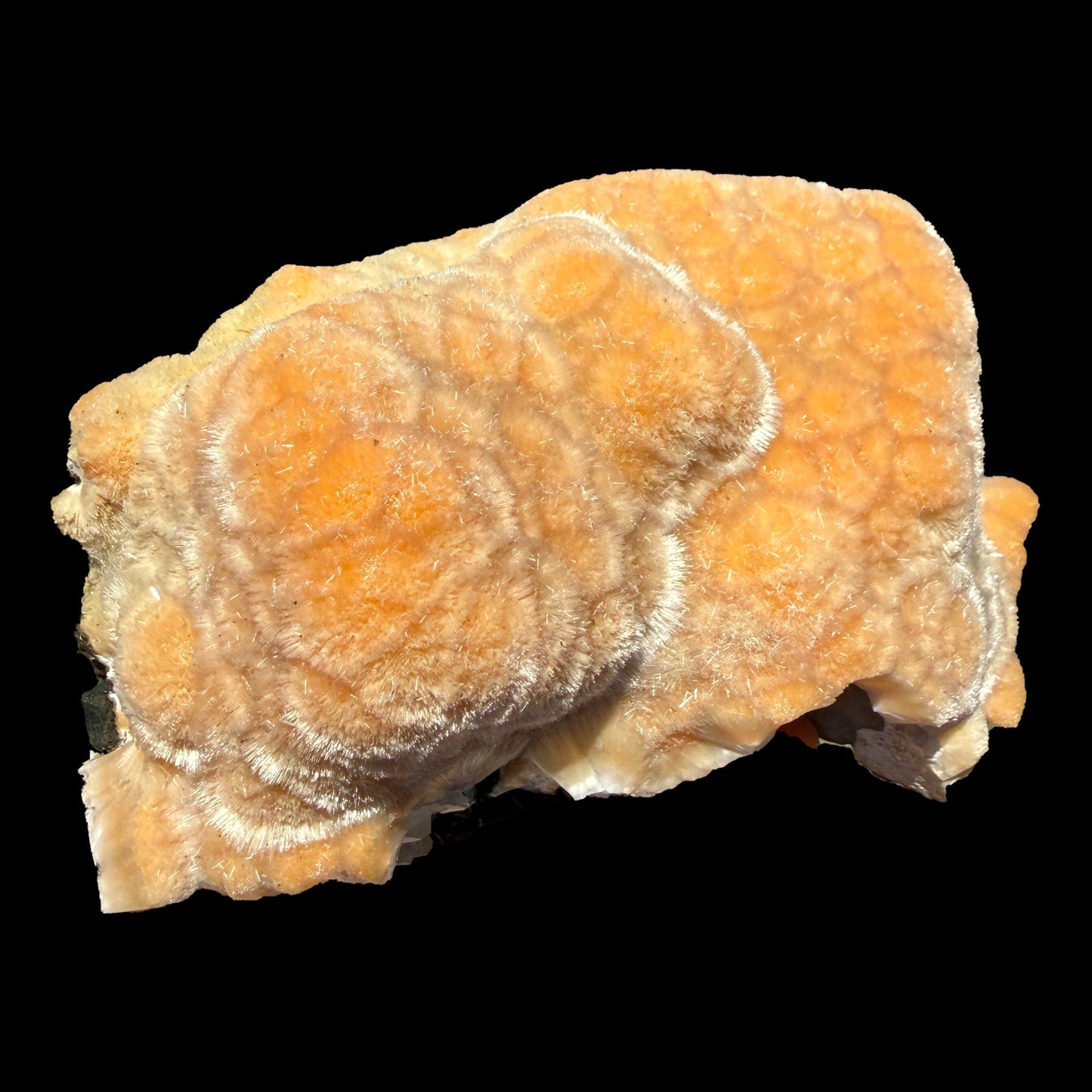 Orange Botryoidal Thomsonite with Needle Mesolite & Calcite – Indian Zeolite Mineral Specimen from Madhya Pradesh # DKT112 Thomsonite Superb Minerals 