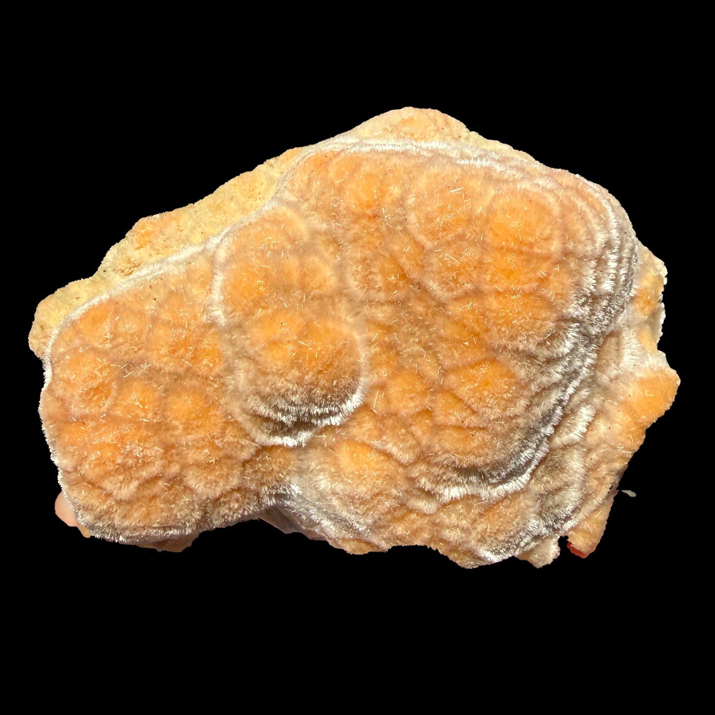 Orange Botryoidal Thomsonite with Needle Mesolite & Calcite – Indian Zeolite Mineral Specimen from Madhya Pradesh # DKT112 Thomsonite Superb Minerals 