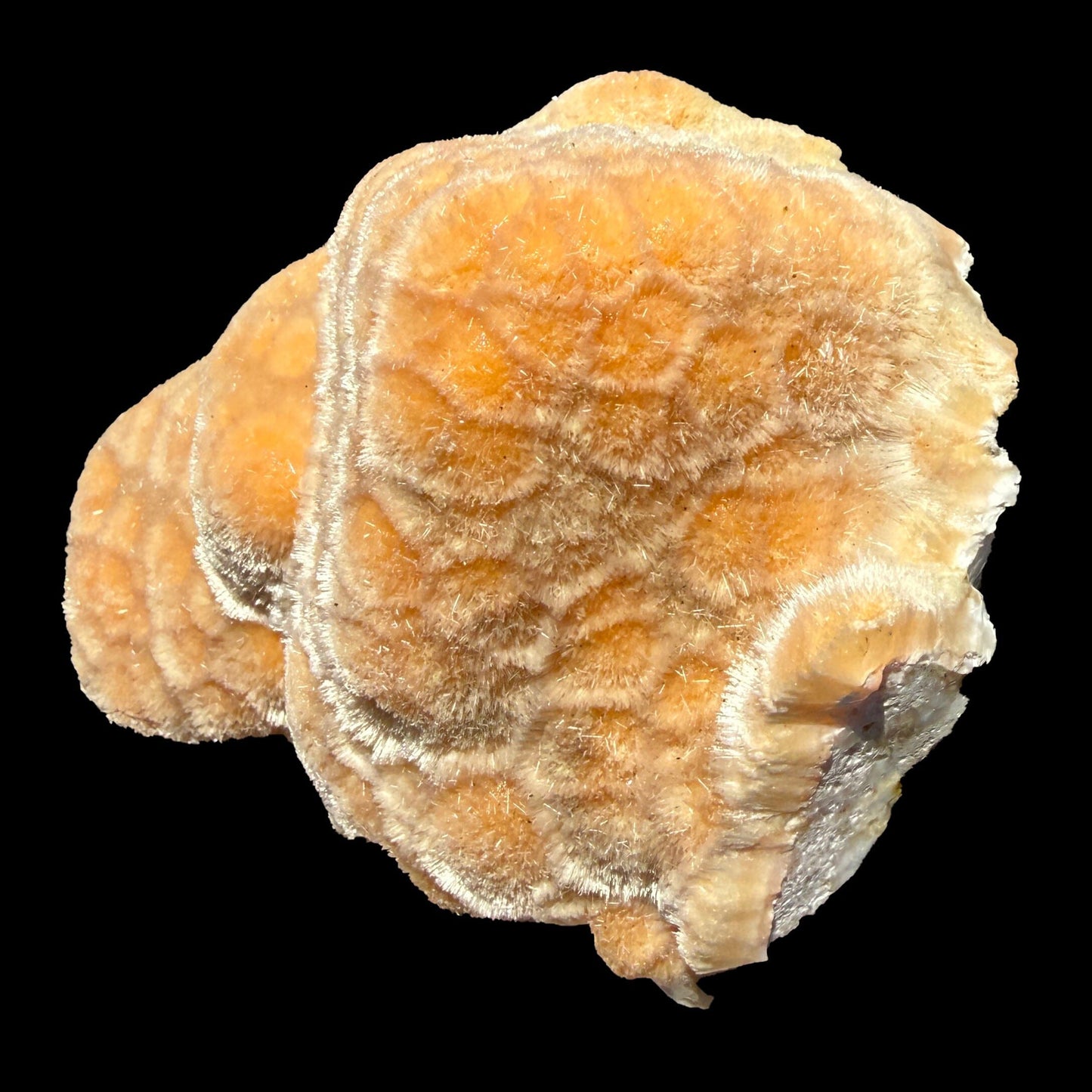 Orange Botryoidal Thomsonite with Needle Mesolite & Calcite – Indian Zeolite Mineral Specimen from Madhya Pradesh # DKT112 Thomsonite Superb Minerals 