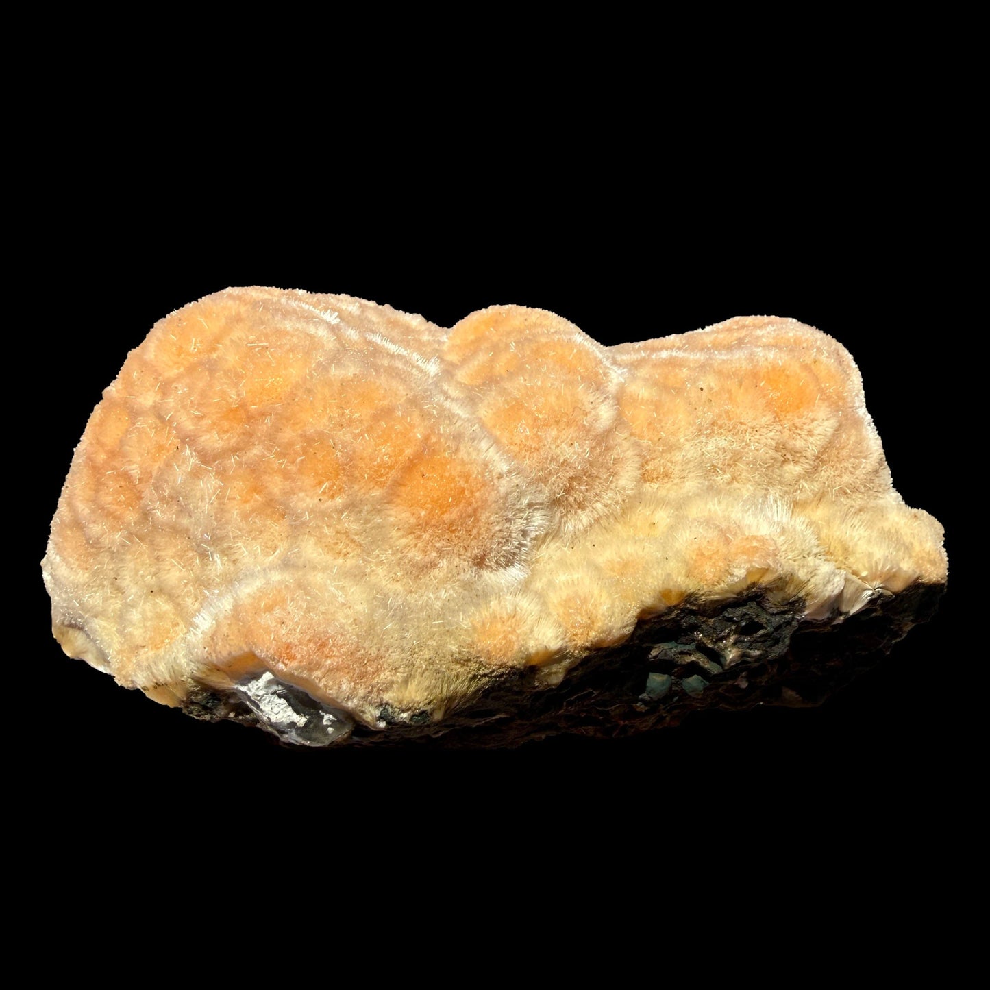 Orange Botryoidal Thomsonite with Needle Mesolite & Calcite – Indian Zeolite Mineral Specimen from Madhya Pradesh # DKT112 Thomsonite Superb Minerals 