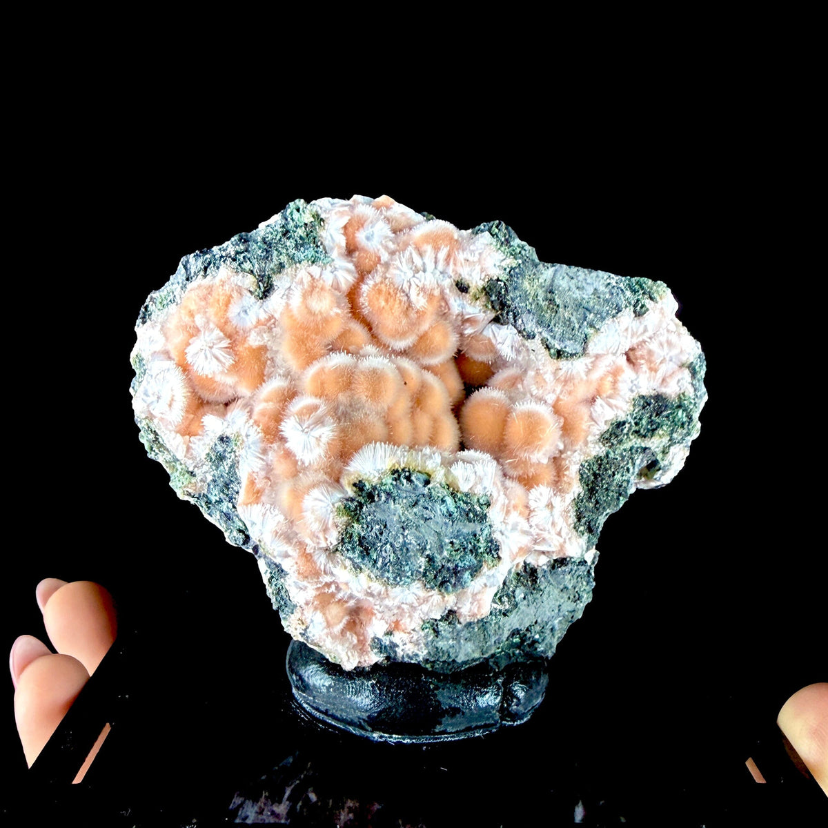 Orange Thomsonite Spheres with Mesolite Needles on Matrix - Collector’s Specimen from Deshgaon, Madhya Pradesh # DKT164 Thomsonite Superb Minerals 