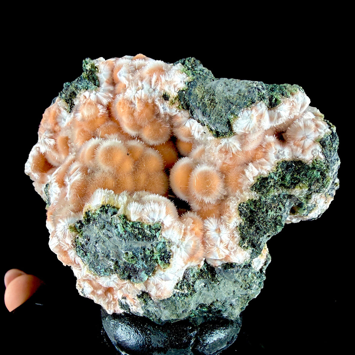 Orange Thomsonite Spheres with Mesolite Needles on Matrix - Collector’s Specimen from Deshgaon, Madhya Pradesh # DKT164 Thomsonite Superb Minerals 