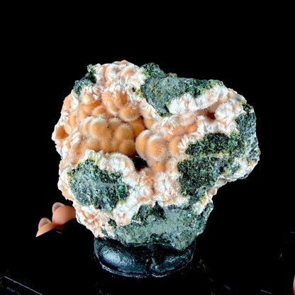 Orange Thomsonite Spheres with Mesolite Needles on Matrix - Collector’s Specimen from Deshgaon, Madhya Pradesh # DKT164 Thomsonite Superb Minerals 