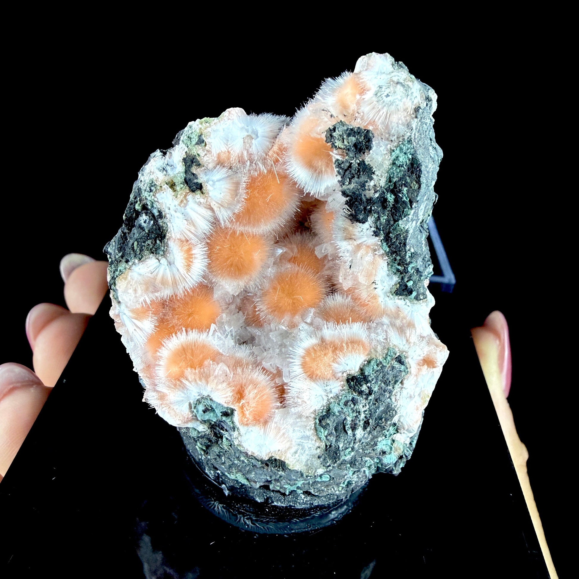 Orange Thomsonite with Fibrous Mesolite Needles on Matrix - Collector’s Specimen from Madhya Pradesh #DKT156 Thomsonite Superb Minerals 