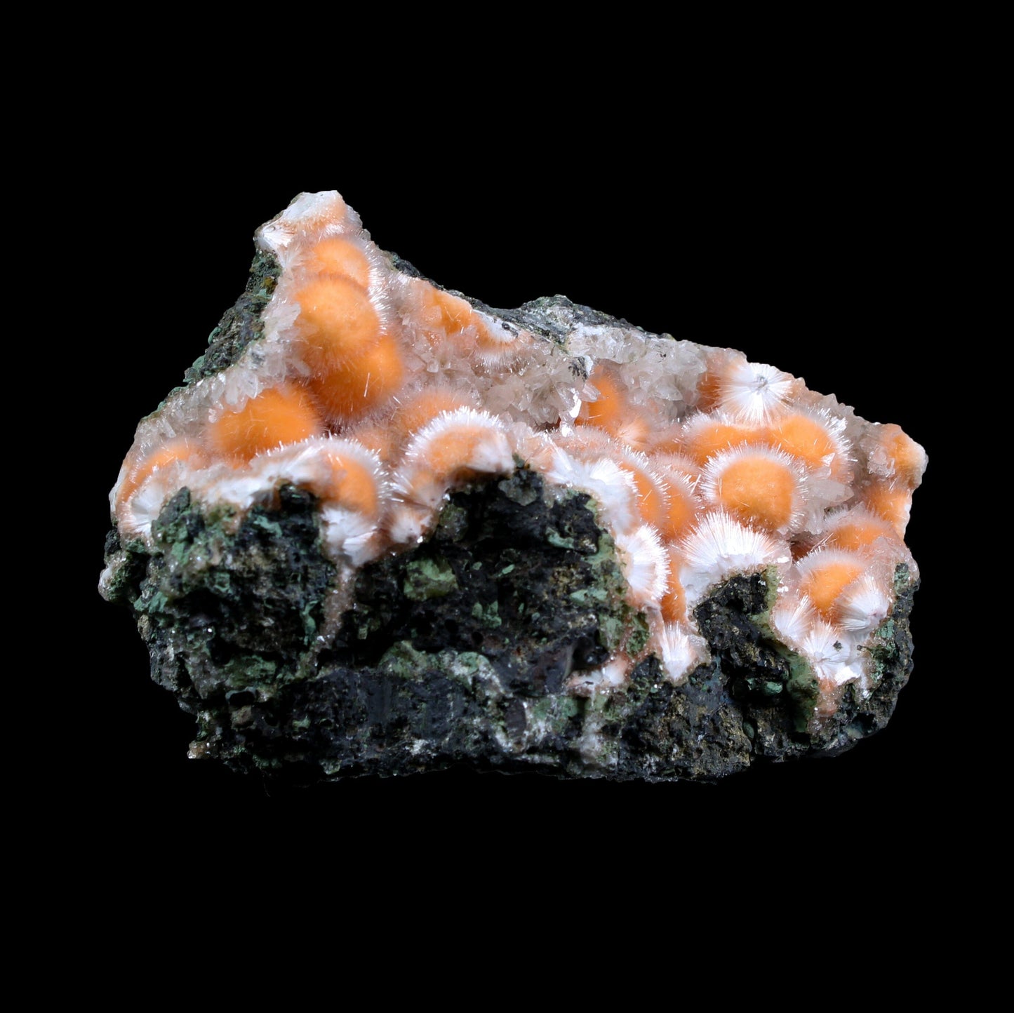 Orange Thomsonite with Mesolite in Perky Box – Rare Indian Zeolite Mineral Specimen from Madhya Pradesh,India # B 7134 Thomsonite Superb Minerals 