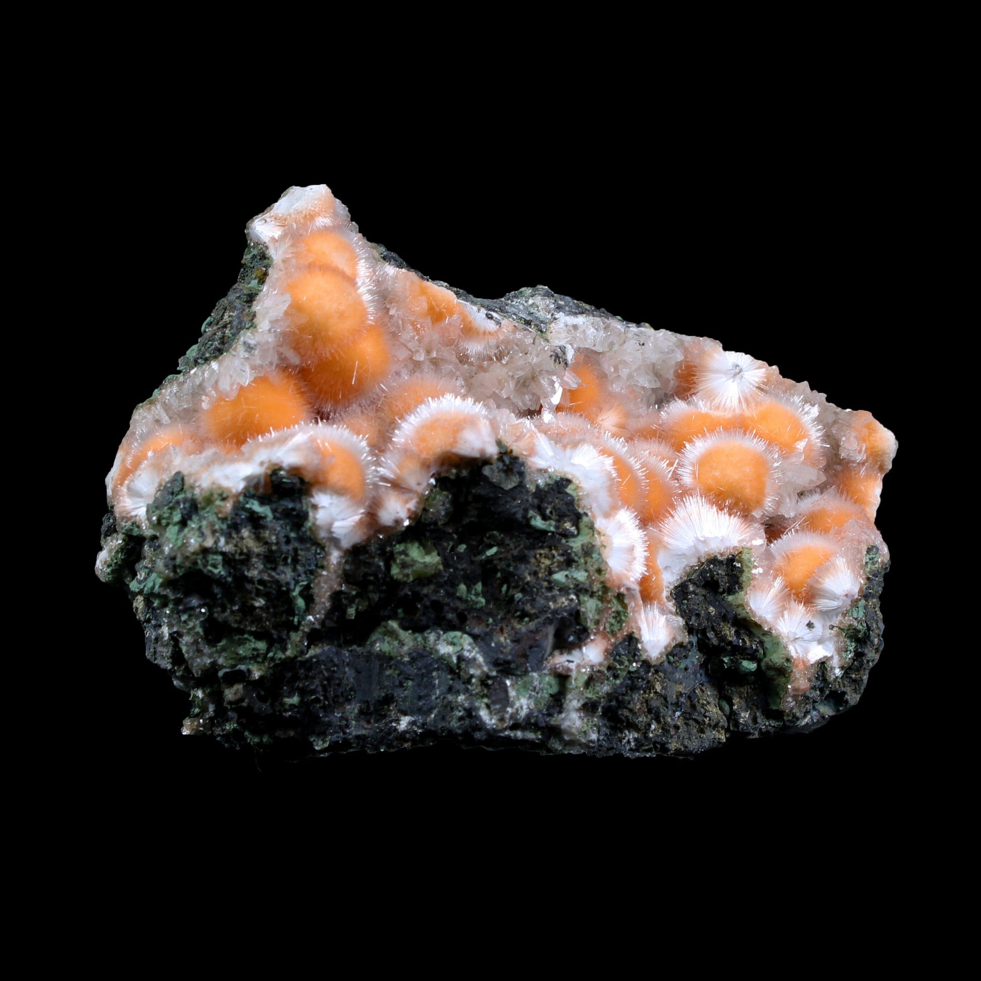 Orange Thomsonite with Mesolite in Perky Box – Rare Indian Zeolite Mineral Specimen from Madhya Pradesh,India # B 7134 Thomsonite Superb Minerals 