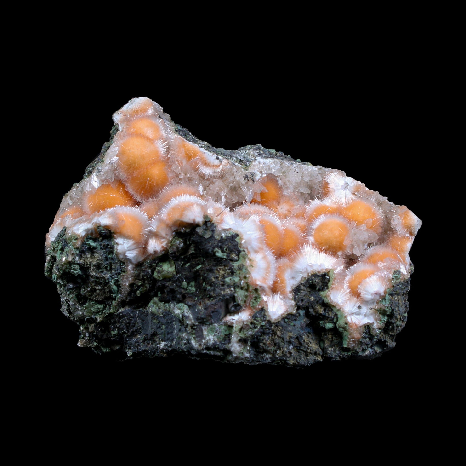 Orange Thomsonite with Mesolite in Perky Box – Rare Indian Zeolite Mineral Specimen from Madhya Pradesh,India # B 7134 Thomsonite Superb Minerals 